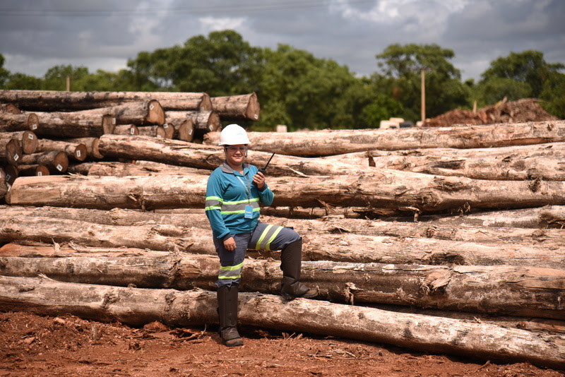 Recorde histórico no tratamento de cargas agrícolas e florestais em Rondonópolis