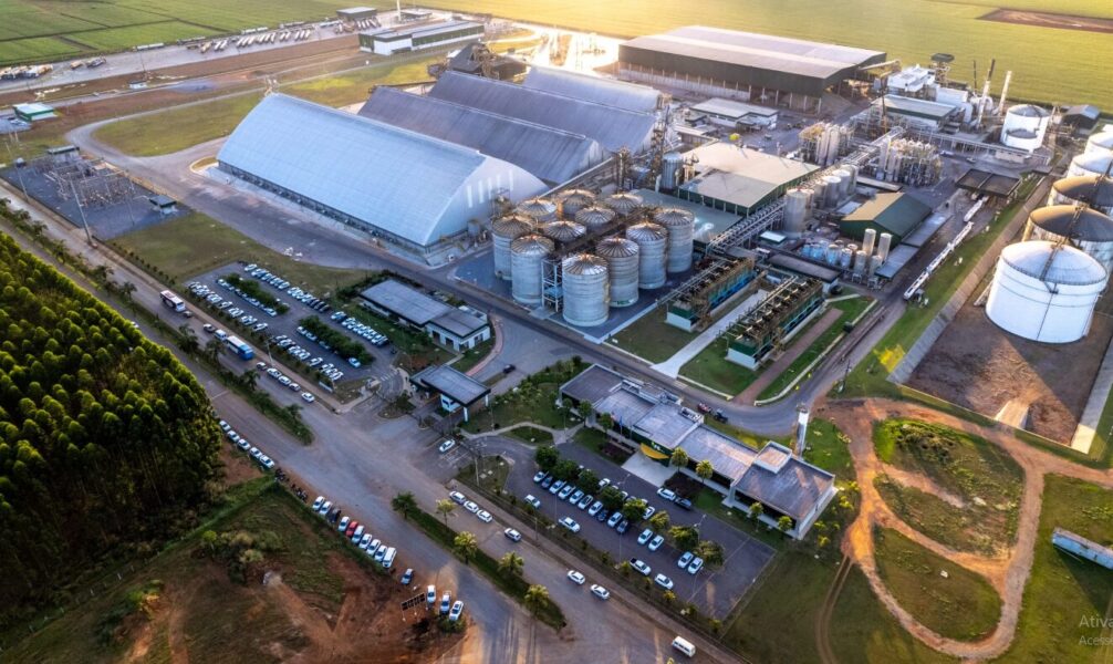 FS vende primeira carga de DDG de alta proteína do Brasil para a China