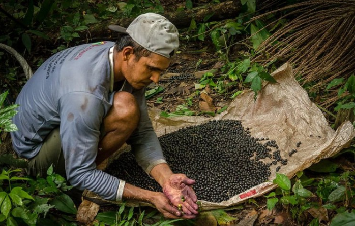 Abertas as inscrições de projetos para regularizar áreas e apoiar produção de 30 mil agricultores familiares na Amazônia