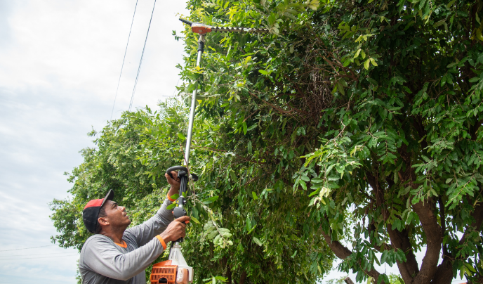 Rondonópolis | Prefeitura disponibiliza serviços da área ambiental de forma digital