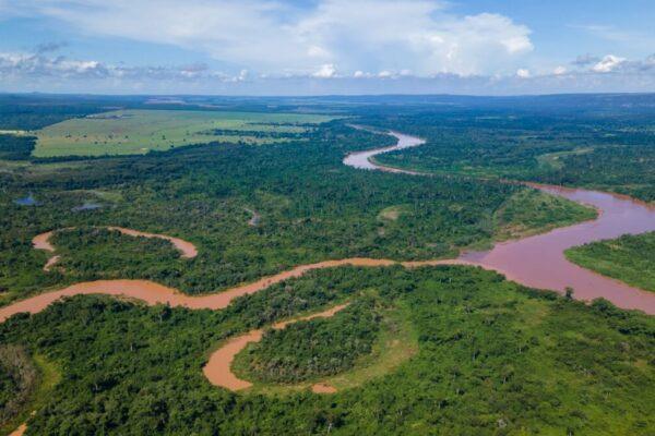 Do Planalto ao Pantanal: a Bacia do São Lourenço como eixo do equilíbrio ambiental em Mato Grosso