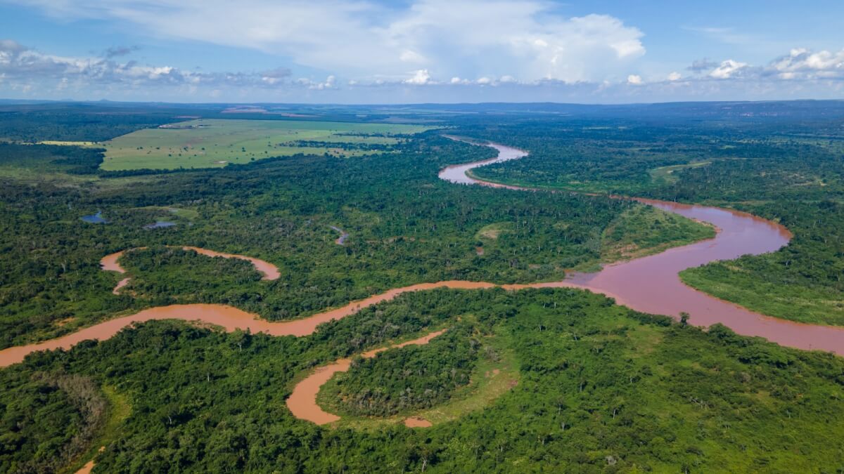 Do Planalto ao Pantanal: a Bacia do São Lourenço como eixo do equilíbrio ambiental em Mato Grosso