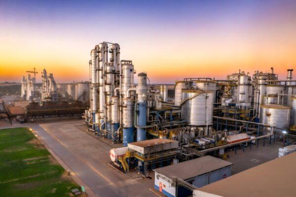 Norte Show: Inpasa apresenta soluções que integram produção de energia limpa e nutrição animal de alta performance