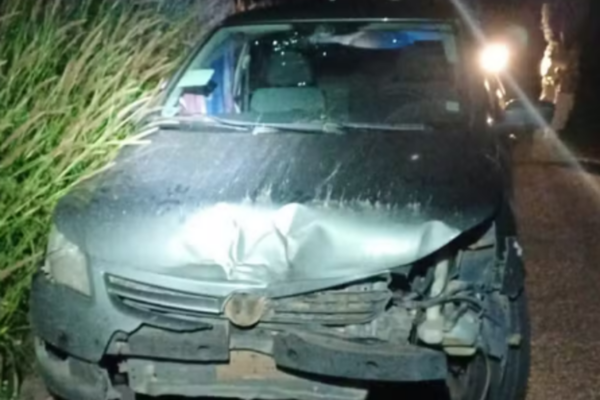 Adolescente aprende a dirigir pela internet, furta carro dos pais e percorre 550 km para encontrar garota do Roblox