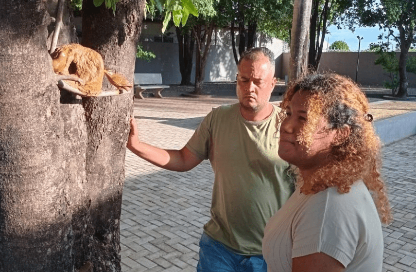 Cultura Viva transforma a Biblioteca da Vila Operária em polo cultural em Rondonópolis 6