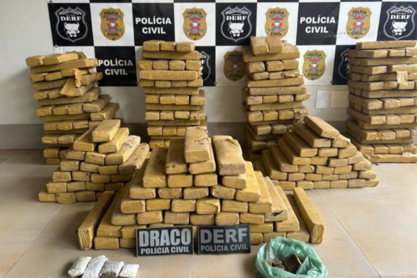 Polícia apreende mais de 300 tabletes de maconha enterrados em casa de Rondonópolis