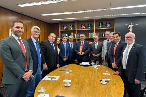 Plebiscito pode abrir caminho para solução de disputa centenária entre MT e Pará