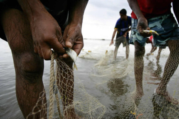 Lei que proíbe pesca em MT não tem base científica e pode custar R$ 187 milhões ao ano, apontam estudos