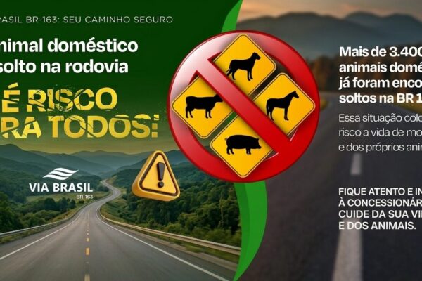 Via Brasil lança campanha de conscientização sobre riscos de animais soltos na BR-163
