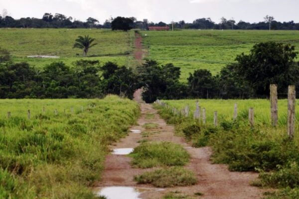 Mato Grosso na rota: R$ 131 milhões do Fundo Amazônia vão financiar megaprojeto de regularização e agro no estado