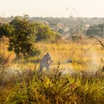 Rondonópolis entra em alerta: previsão de seca extrema e calor intenso mobiliza autoridades d87155c4-9d47-434e-b3f3-5450e2e2722e