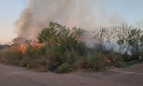 Queimadas preocupam em Rondonópolis e Prefeitura faz alerta: multas podem chegar a R$ 4,6 milhões Screenshot_841