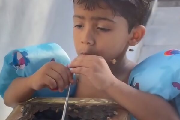 Menino de 4 anos choca a internet ao tomar mel direto da colmeia com canudinho