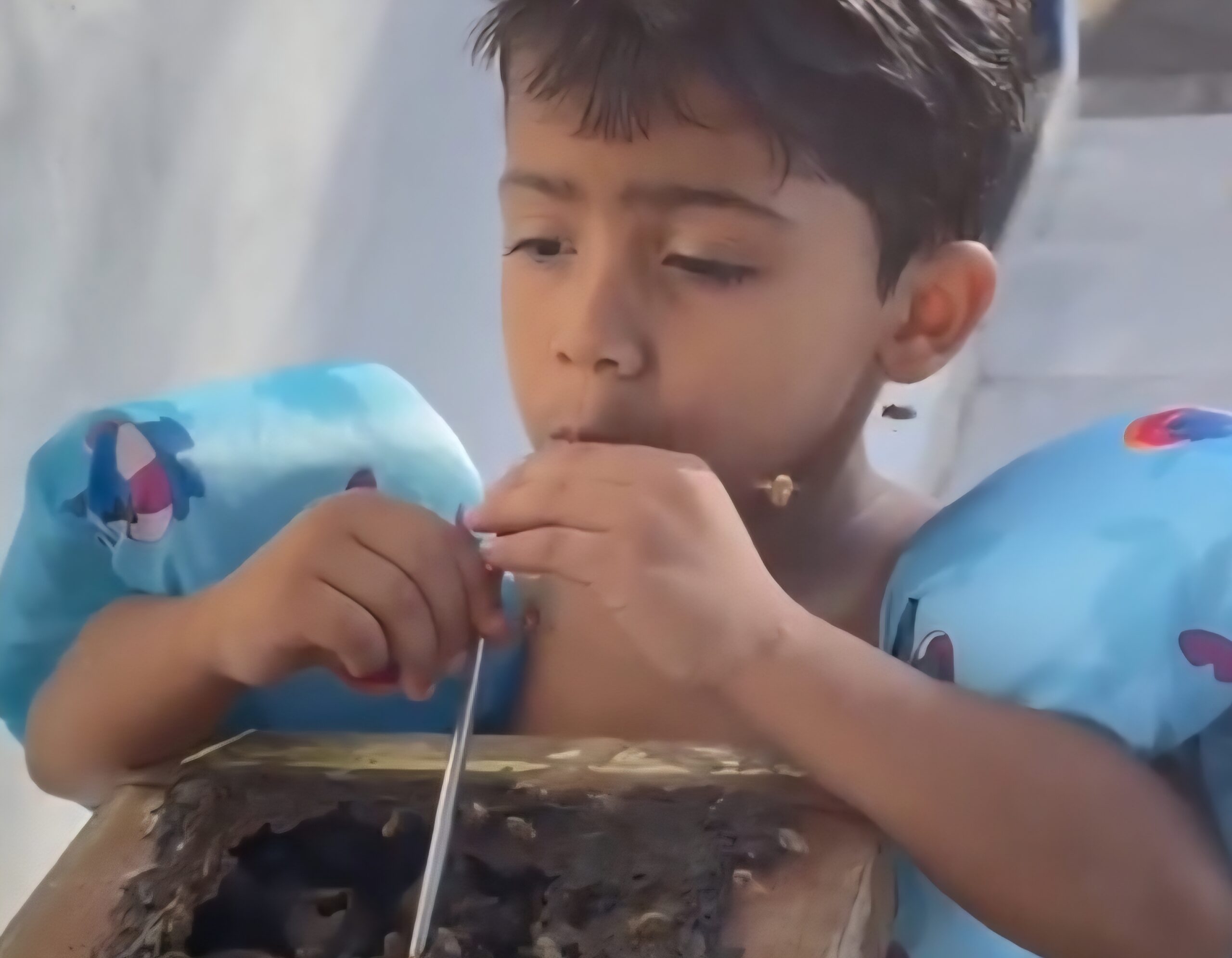 Menino de 4 anos choca a internet ao tomar mel direto da colmeia com canudinho Screenshot_20260801_145436_Gallery