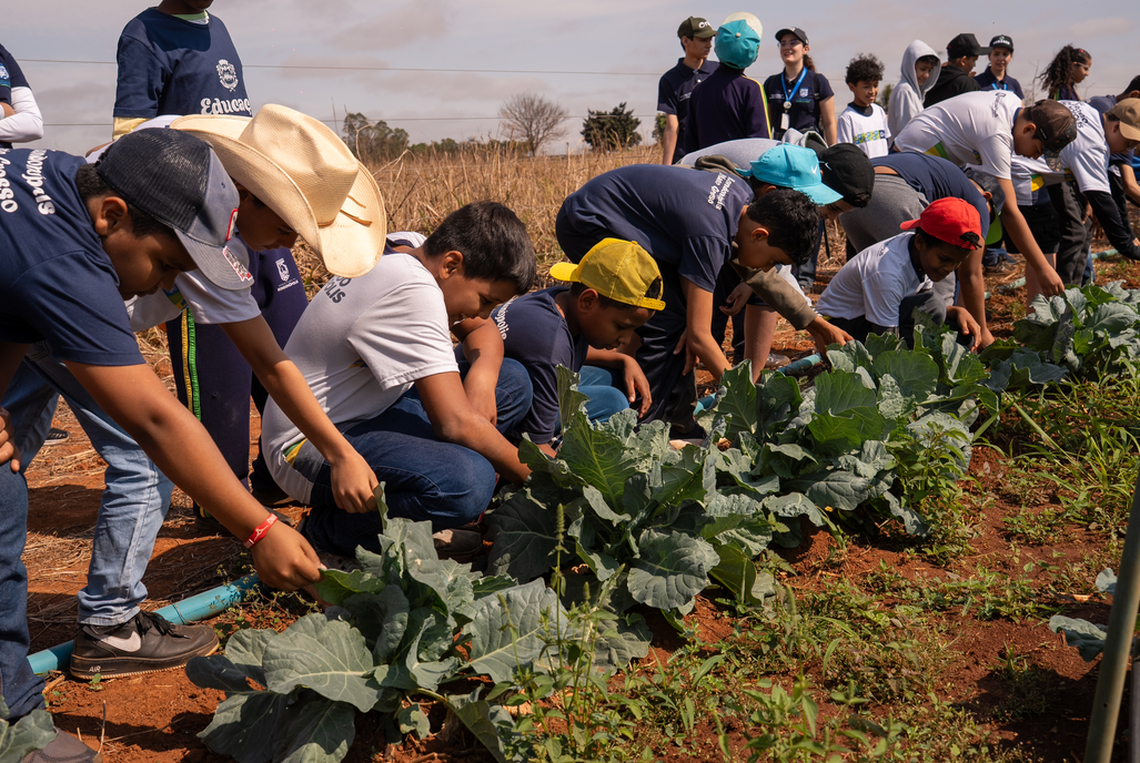 Rondonópolis | Projeto leva alunos da rede municipal para conhecer o cultivo de hortaliças Screenshot_30