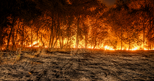 Fogo atinge Parque Estadual Dom Osório Stoffel e mobiliza Prefeitura e Bombeiros em Rondonópolis d802260d-de25-41e5-922a-3028363f3b88