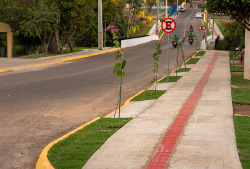Qualidade de Vida: Rondonópolis amplia arborização urbana e distribui milhares de mudas Screenshot_14