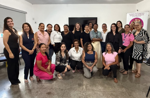 Conselho da Mulher de Rondonópolis elege nova diretoria após disputa por vagas da sociedade civil Screenshot_19