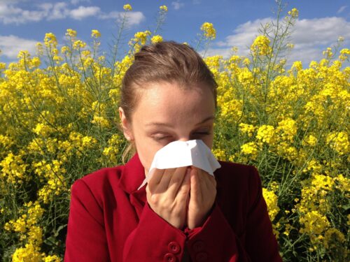 Por que crises de rinite e alergias respiratórias aumentam na primavera? Entenda os fatores e saiba como se proteger cenczi-allergy-1738191-1920